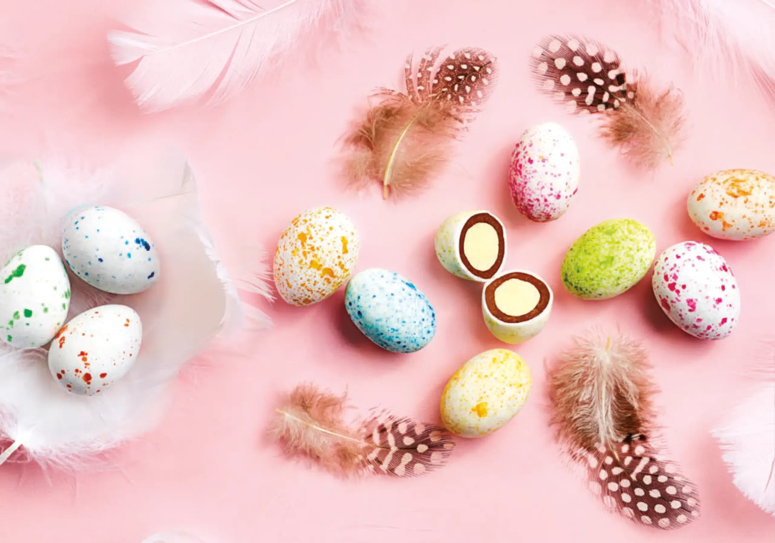 Buratti Catalogo 2026